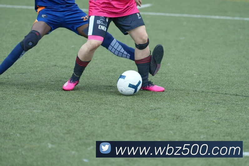 500彩票平台生态图